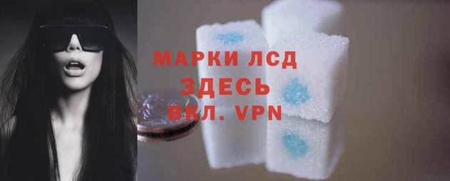 прущая мука Гусев