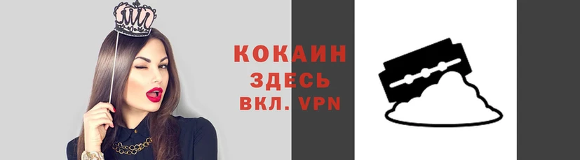 прущая мука Гусев
