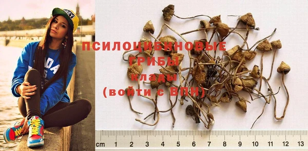 дурь Вуктыл