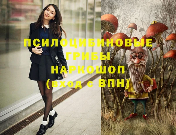 mix Гусиноозёрск